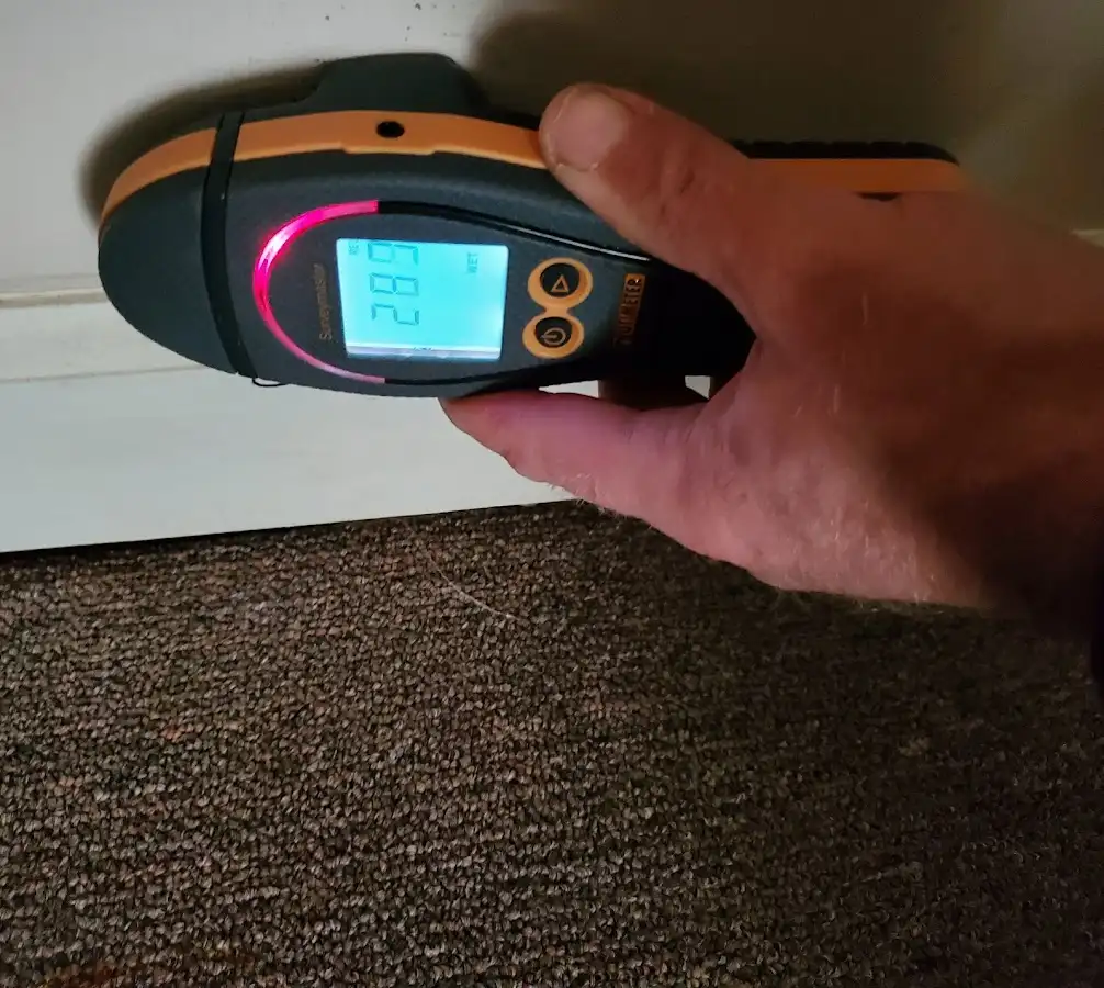 Moisture detection at baseboard during Storm Damage Restoration in Snohomish